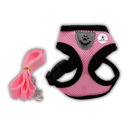 Dreamer Pet Shop - Shop for your pet Dây Dắt Thú Mẫu Dấu Chân - Size XL
