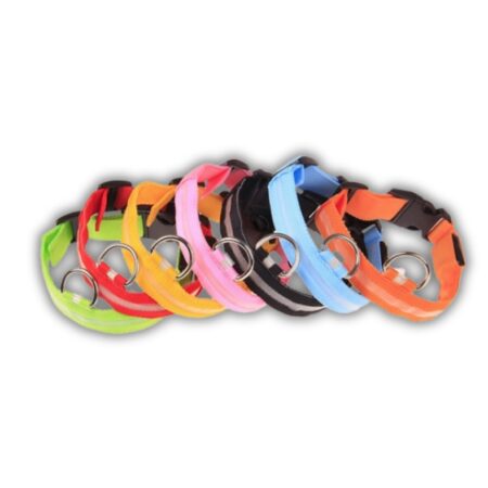 Dreamer Pet Shop - Shop for your pet Vòng Cổ Chó Mèo LED 3 - Size L
