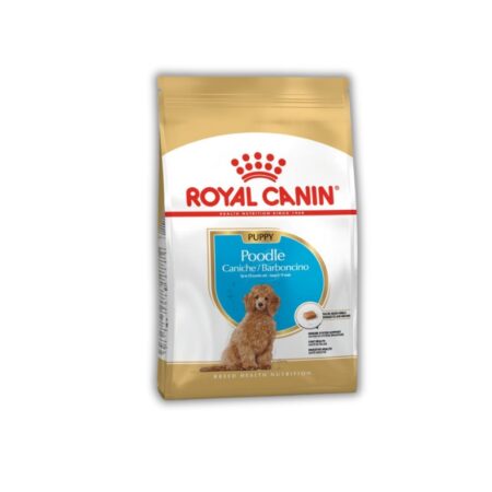 Dreamer Pet Shop - Shop for your pet Hạt Cho Chó Con Poodle Royal Canin 500g