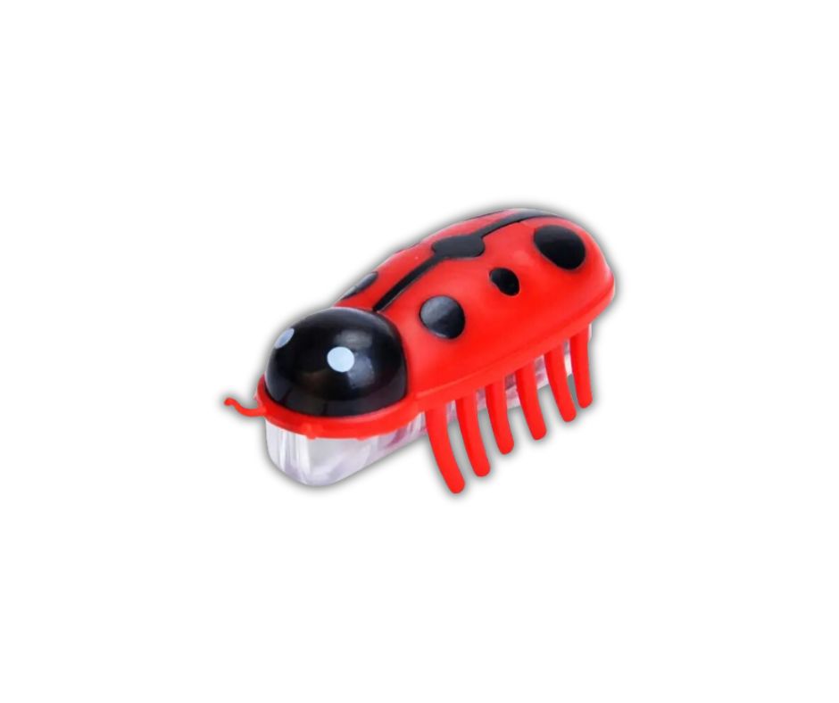 Đồ Chơi Chó Mèo Con Bọ do-choi-cho-meo-con-bo