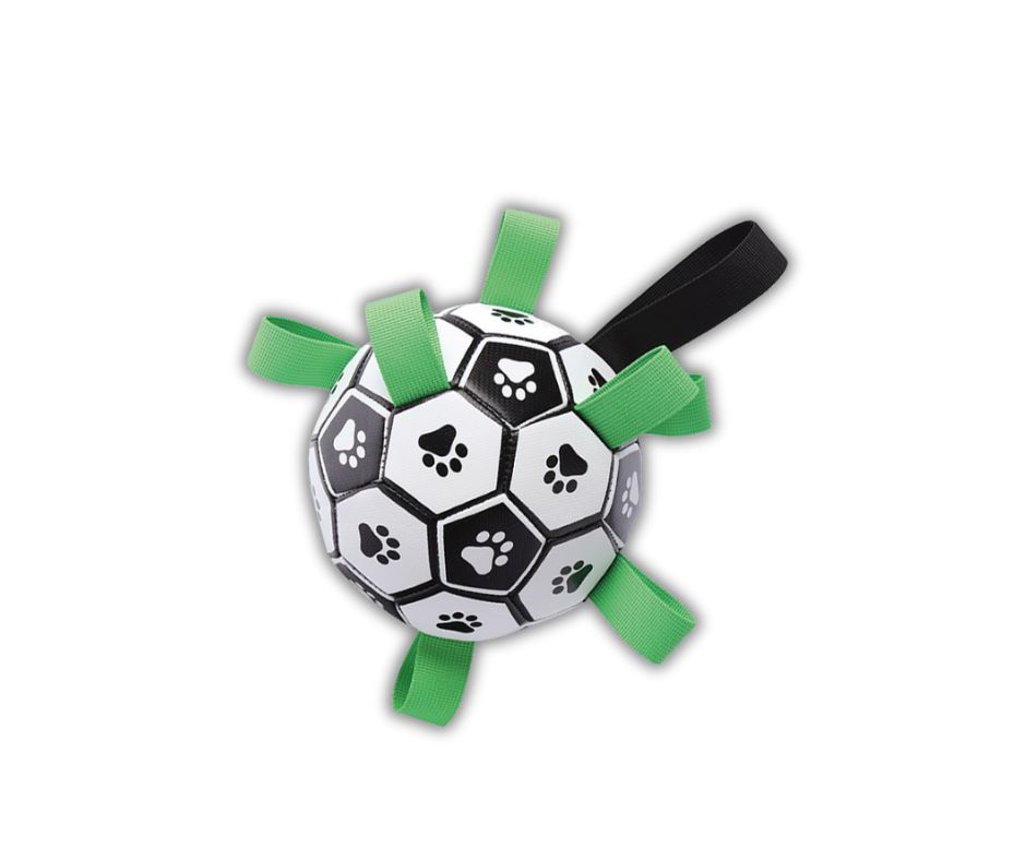 Đồ Chơi Qủa Bóng Đá 02 do-choi-qua-bong-da-02