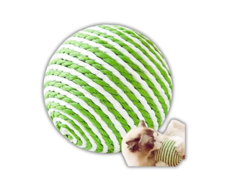 do-choi-bong-tron-day-thung