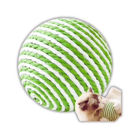 Dreamer Pet Shop - Shop for your pet do-choi-bong-tron-day-thung