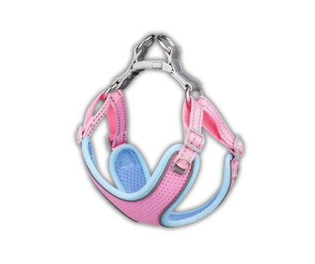 yem-dat-cho-meo-phan-quang