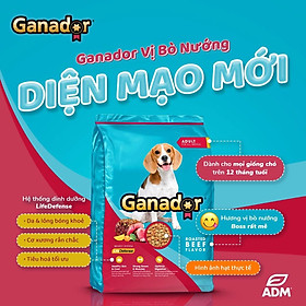 Dreamer Pet Shop - Shop for your pet