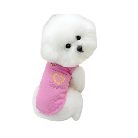 Dreamer Pet Shop - Shop for your pet quan-ao-thu-cung-teddy
