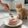 Dreamer Pet Shop - Shop for your pet