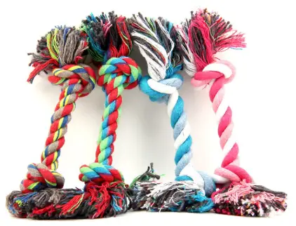 Dreamer Pet Shop - Shop for your pet Dreamer Pet Shop - Shop for your pet