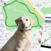 Dreamer Pet Shop - Shop for your pet