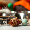 Dreamer Pet Shop - Shop for your pet