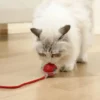 Dreamer Pet Shop - Shop for your pet