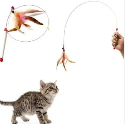 Dreamer Pet Shop - Shop for your pet Dreamer Pet Shop - Shop for your pet