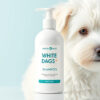 Dreamer Pet Shop - Shop for your pet
