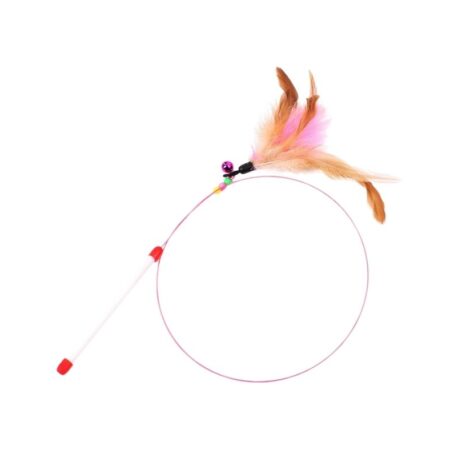 Dreamer Pet Shop - Shop for your pet can-cau-choc-meo-long-vu-co-chuong